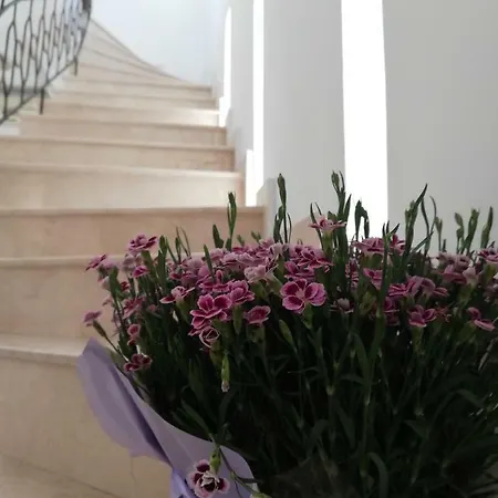 Casa Ruxandrei 3* Constanţa