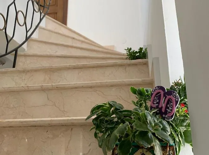 게스트하우스 Casa Ruxandrei