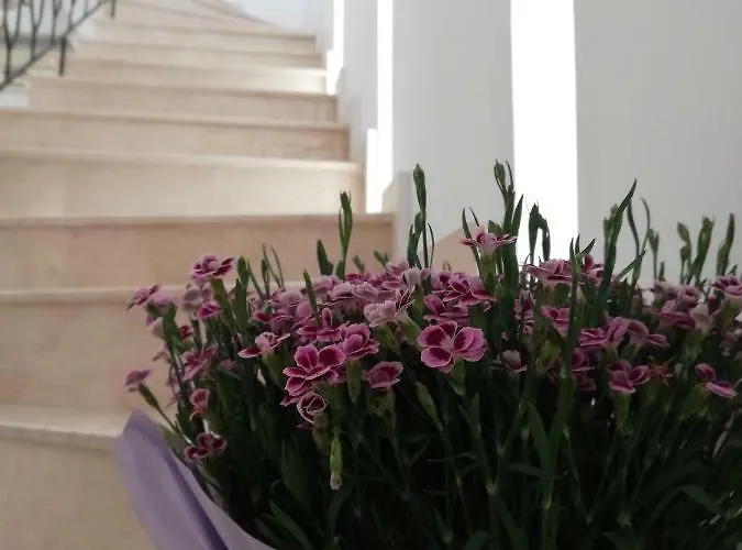 Casa Ruxandrei 3* 콘스탄차